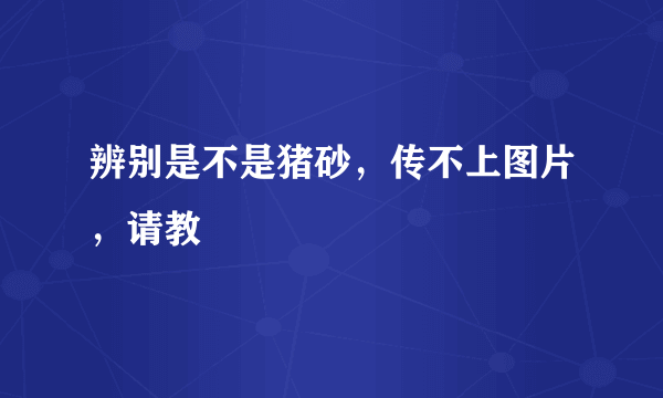 辨别是不是猪砂，传不上图片，请教