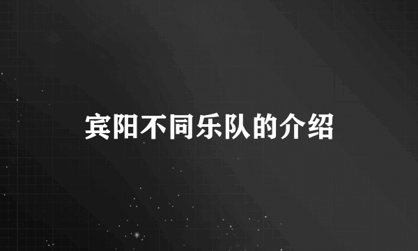 宾阳不同乐队的介绍