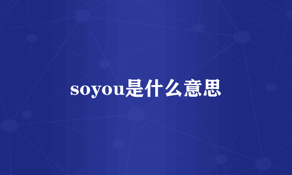 soyou是什么意思