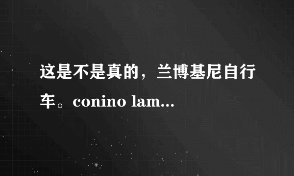 这是不是真的，兰博基尼自行车。conino lamborghini下图是第二十届中国国际自行车展？
