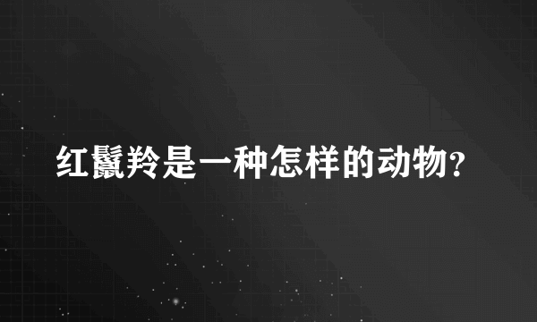 红鬣羚是一种怎样的动物？