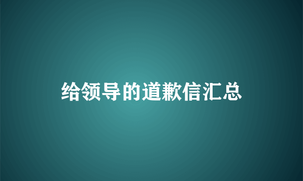 给领导的道歉信汇总