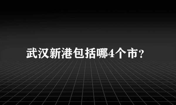 武汉新港包括哪4个市？