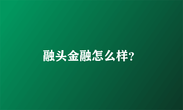 融头金融怎么样？