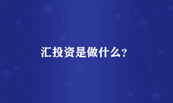汇投资是做什么？