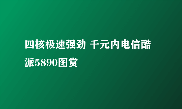 四核极速强劲 千元内电信酷派5890图赏