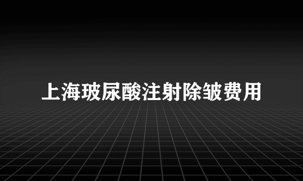 上海玻尿酸注射除皱费用