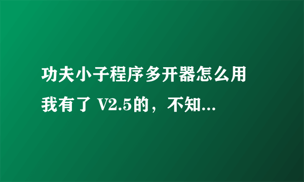 功夫小子程序多开器怎么用 我有了 V2.5的，不知怎么用..求助