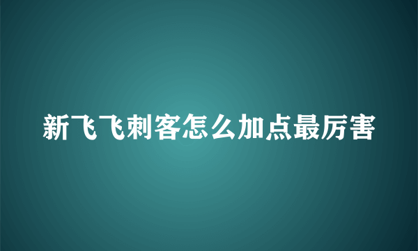新飞飞刺客怎么加点最厉害