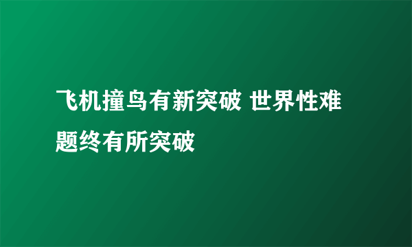 飞机撞鸟有新突破 世界性难题终有所突破