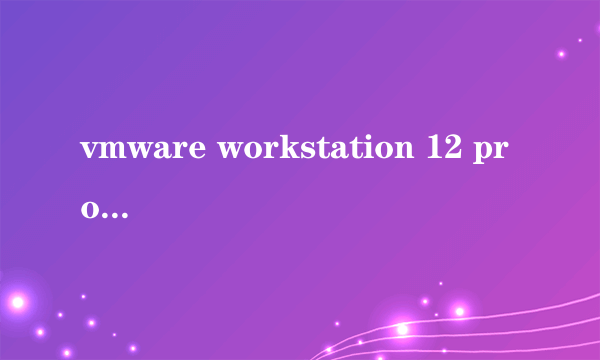vmware workstation 12 pro 最新版本号是多少