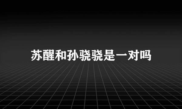 苏醒和孙骁骁是一对吗