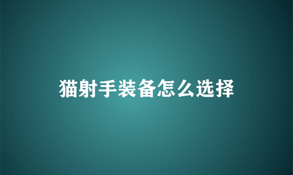 猫射手装备怎么选择