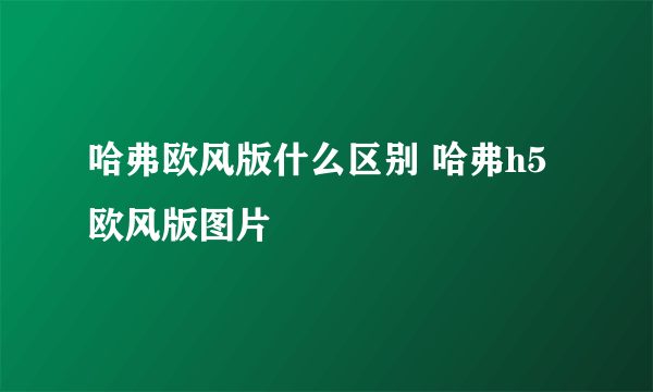 哈弗欧风版什么区别 哈弗h5欧风版图片