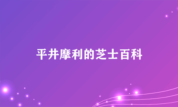 平井摩利的芝士百科