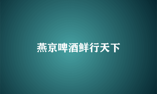 燕京啤酒鲜行天下