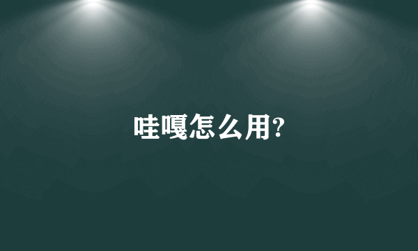 哇嘎怎么用?