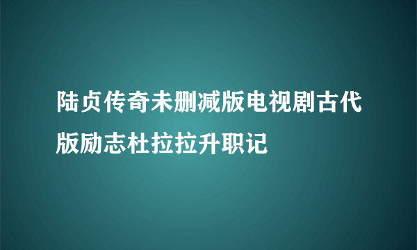 陆贞传奇未删减版电视剧古代版励志杜拉拉升职记