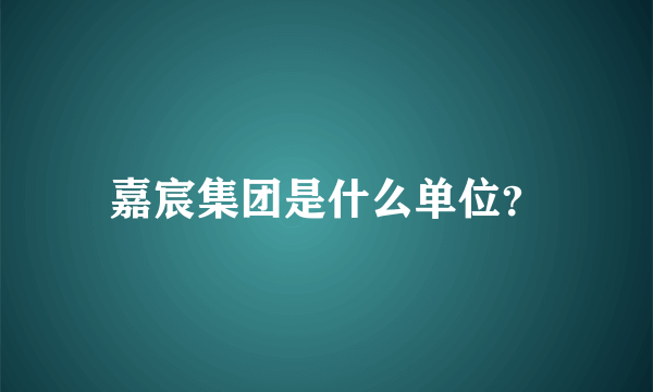 嘉宸集团是什么单位？