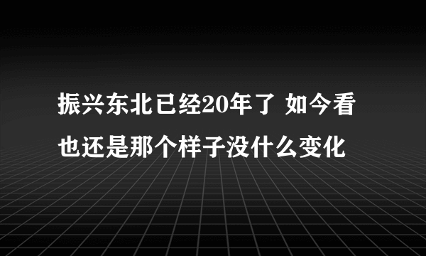 振兴东北已经20年了 如今看也还是那个样子没什么变化