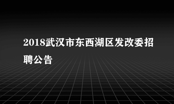 2018武汉市东西湖区发改委招聘公告