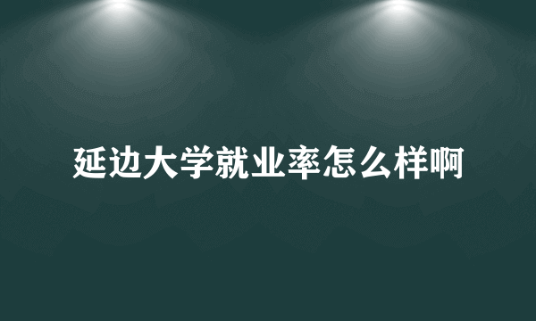 延边大学就业率怎么样啊