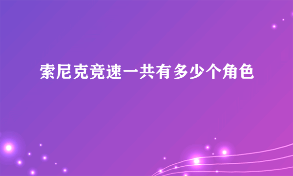索尼克竞速一共有多少个角色