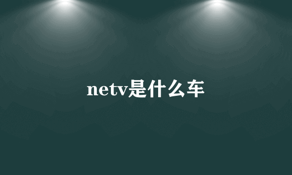 netv是什么车