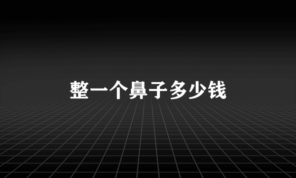 整一个鼻子多少钱
