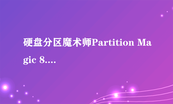 硬盘分区魔术师Partition Magic 8.0简装汉化和V 8.05的英文版有什么区别?