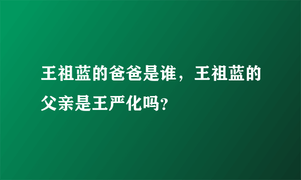 王祖蓝的爸爸是谁，王祖蓝的父亲是王严化吗？