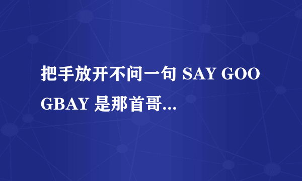把手放开不问一句 SAY GOOGBAY 是那首哥的歌词~？