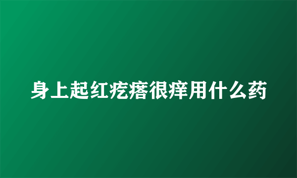 身上起红疙瘩很痒用什么药