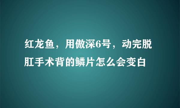 红龙鱼，用傲深6号，动完脱肛手术背的鳞片怎么会变白