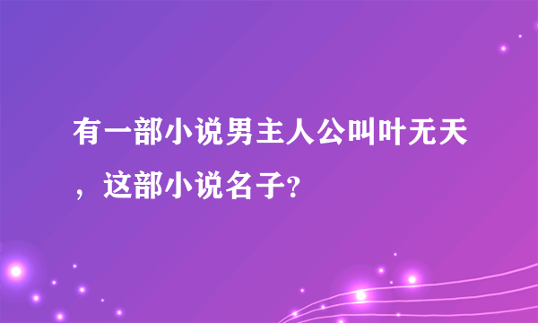 有一部小说男主人公叫叶无天，这部小说名子？