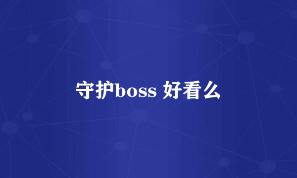 守护boss 好看么