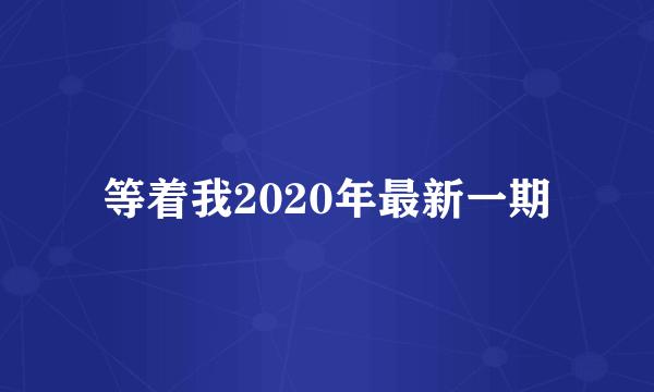 等着我2020年最新一期