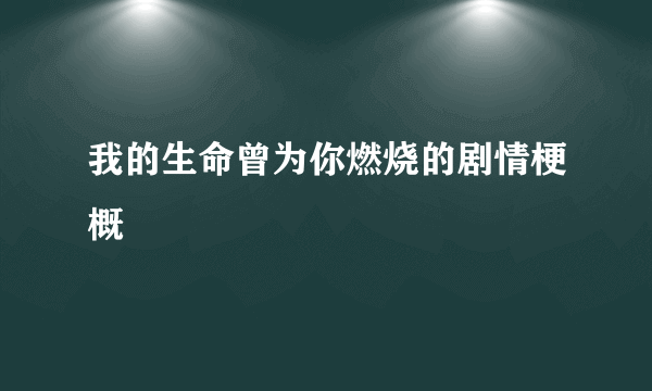 我的生命曾为你燃烧的剧情梗概