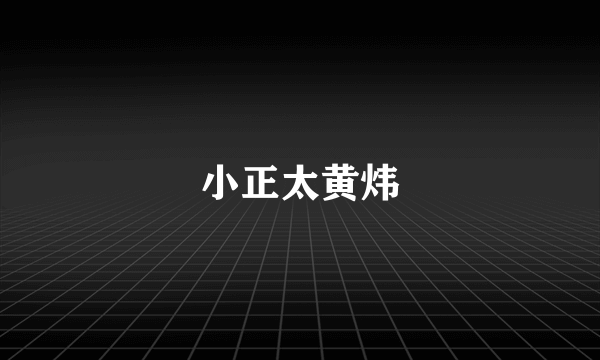 小正太黄炜