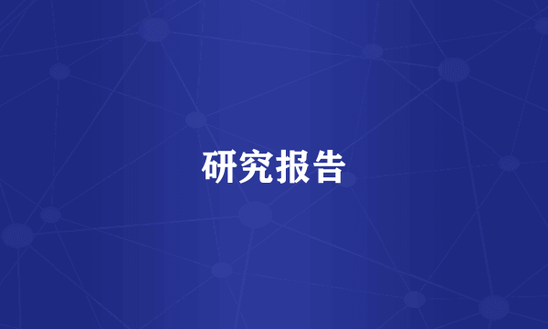 研究报告