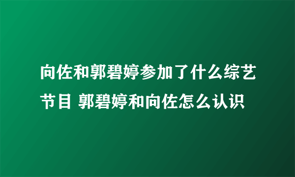 向佐和郭碧婷参加了什么综艺节目 郭碧婷和向佐怎么认识