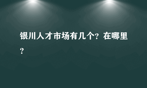 银川人才市场有几个？在哪里？