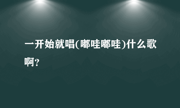 一开始就唱(嘟哇嘟哇)什么歌啊？