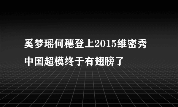 奚梦瑶何穗登上2015维密秀 中国超模终于有翅膀了