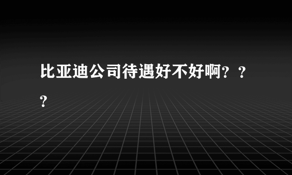 比亚迪公司待遇好不好啊？？？