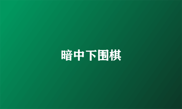 暗中下围棋
