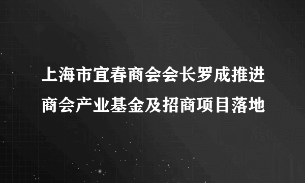 上海市宜春商会会长罗成推进商会产业基金及招商项目落地