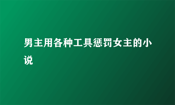 男主用各种工具惩罚女主的小说