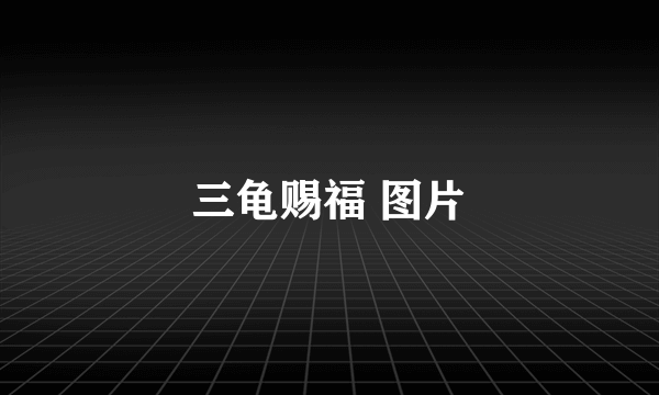 三龟赐福 图片