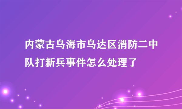 内蒙古乌海市乌达区消防二中队打新兵事件怎么处理了